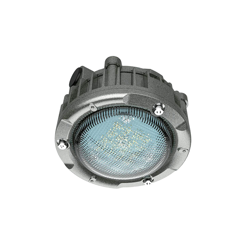 HC-BL D8596 LED防爆泛光燈 小款  